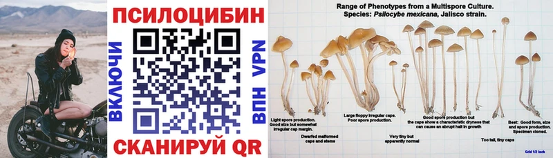 Галлюциногенные грибы мицелий Гай