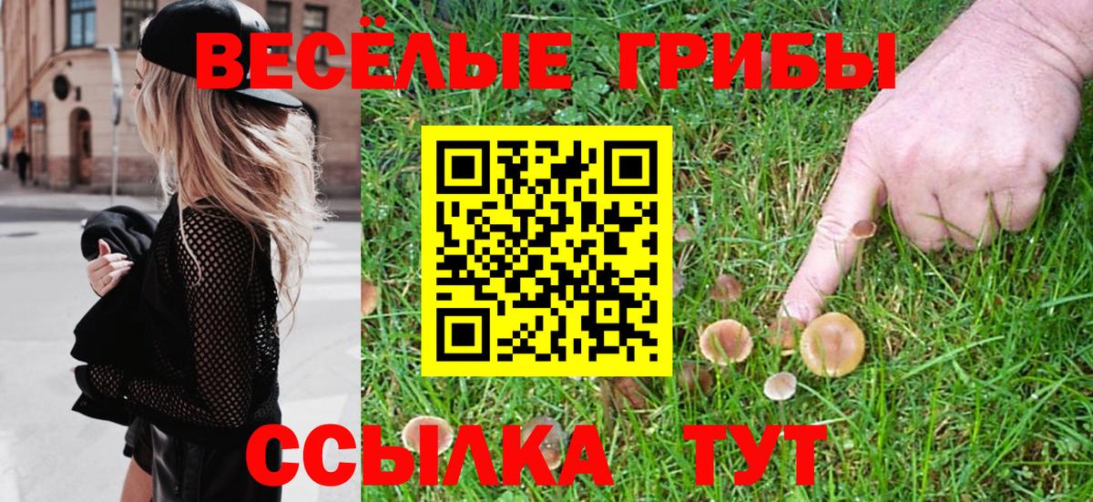 Псилоцибиновые грибы Psilocybine cubensis Гай