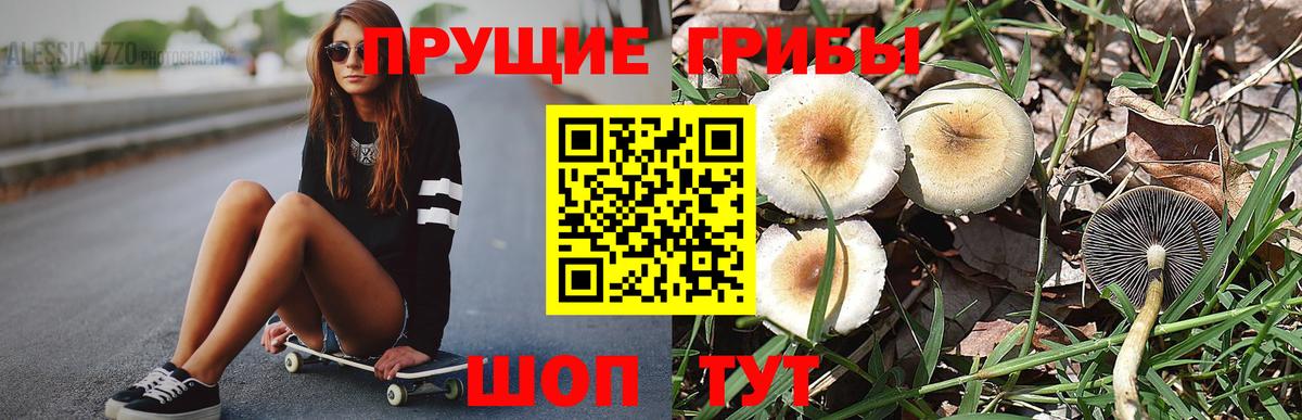 Галлюциногенные грибы Cubensis Гай