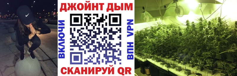 купить   Гай  МАРИХУАНА сатива 