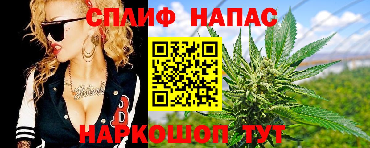 Бошки марихуана индика Гай