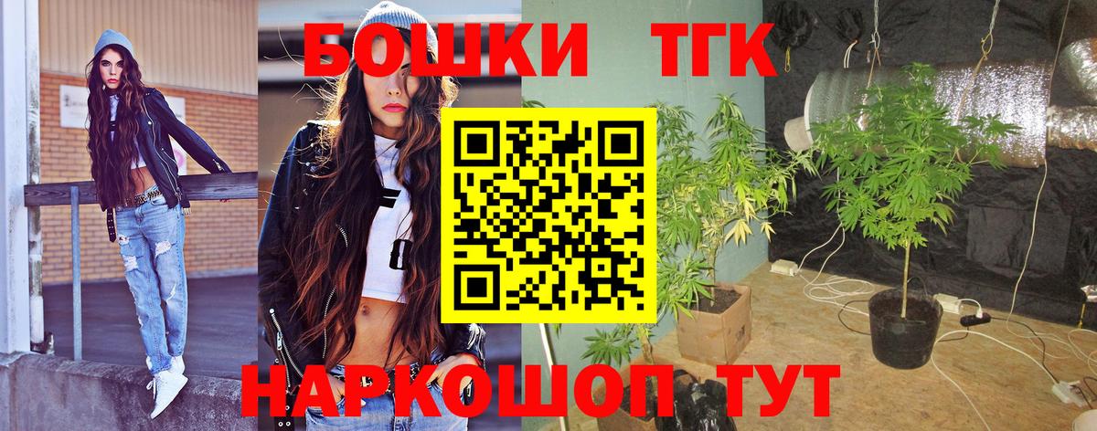 Гай  Каннабис планчик  МАРИХУАНА индика  Шишки марихуана марихуана  Вход с VPN  МАРИХУАНА конопля 